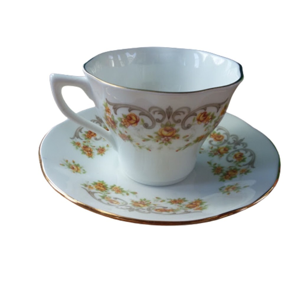 Queen's Teacup and Saucer FINE BONE CHINA MADE IN ENGLAND Rosina China Co